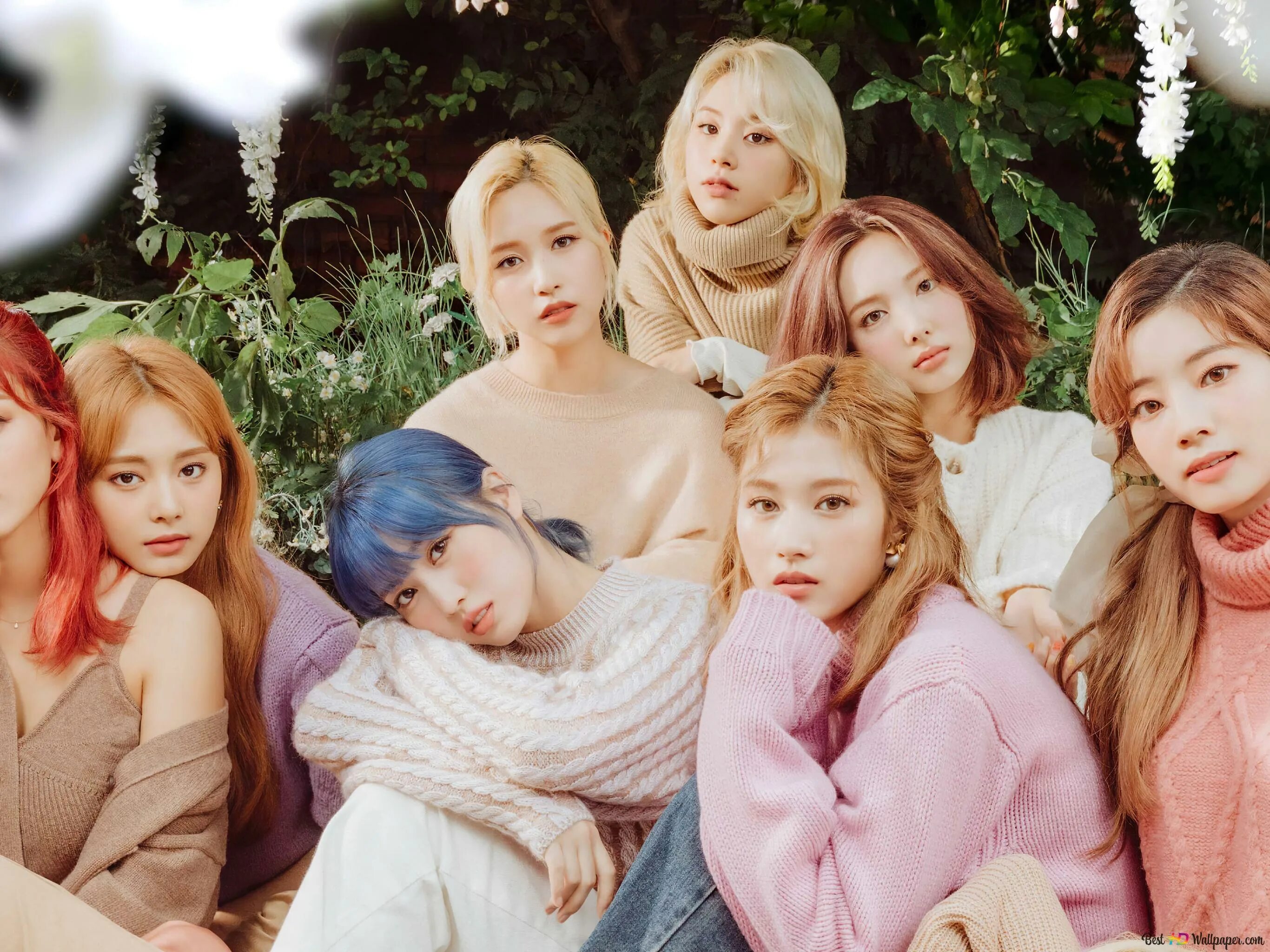 Twice nayeon the feels. Группа твайс 2021. Twice the false. Твайс участницы 2022. Группа twice.