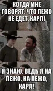 Песня езжу на пежо и не