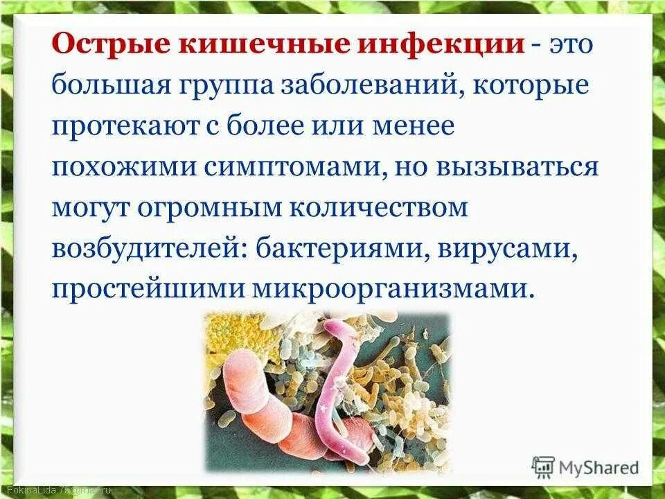 Развитие кишечной инфекции. Основные клинические проявления кишечной инфекции. общие симптомы острых кишечных инфекций. понятие о кишечных инфекциях. острые кишечные инфекции инфекционные болезни.