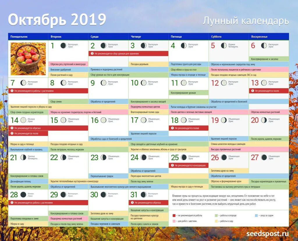 Лунный календарь огородника октябрь: Лунный календарь огородника и садовода на о