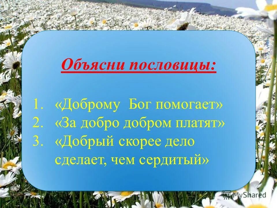 Пословицы характеризующие нравственного человека 4 класс. Пословицы на тему нравственность. Поговорки на тему нравственность. Поговорки о нравственности. Пословицы о нравственности человека.