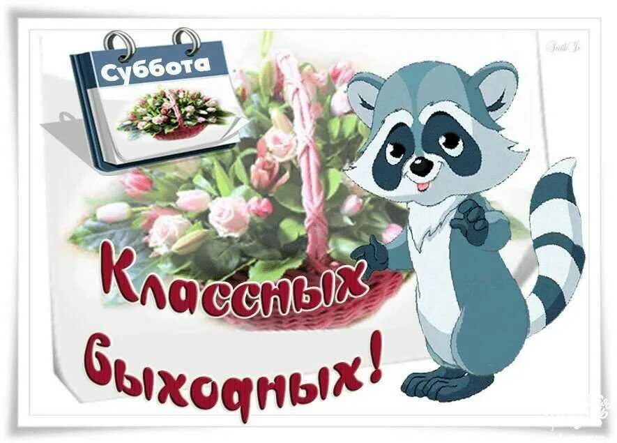 Стикер февральского утра. Хороших выходных открытки. Открытки с субботой. Стикеры с пожеланиями хорошего. Стикеры с добрыми пожеланиями.
