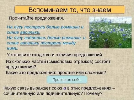 Травы разбор 3
