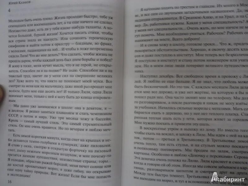 Краткое содержание во сне ты горько плакал