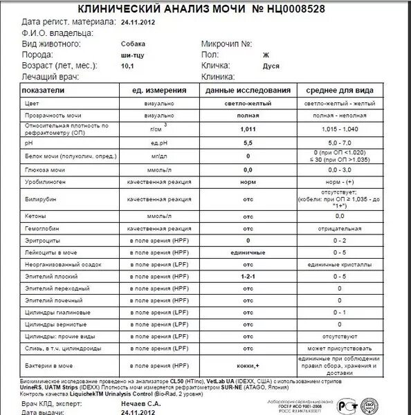 Диастаза мочи норма у взрослых