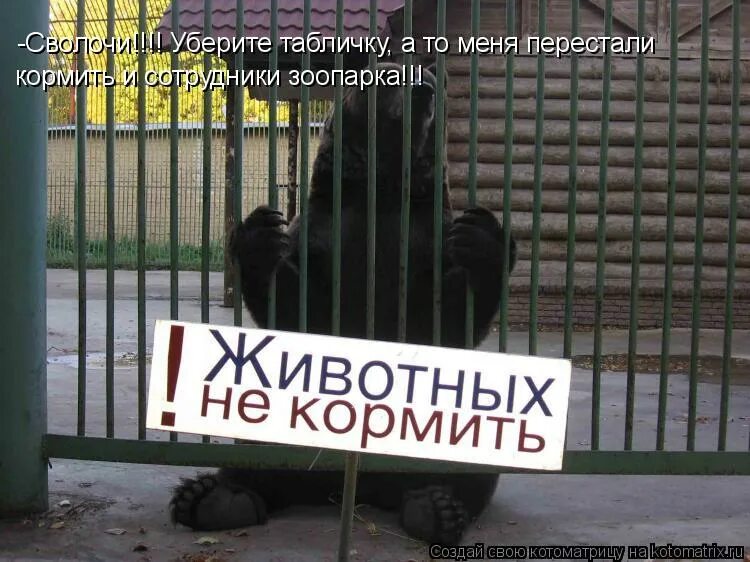 Голубь хлебом не корми. Я осенью я весной. Не корми меня тем. Не корми меня тем. Не корми меня тем.