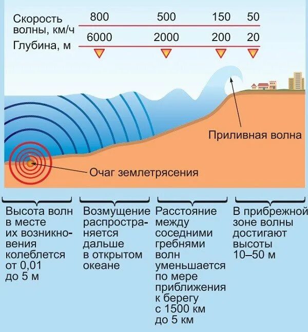 Скорость высота цунами. Причины возникновения цунами схема. причины возникновения волн цунами. цунами схема возникновения. минимальная высота цунами.