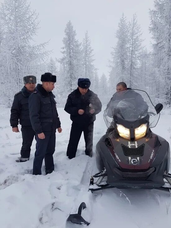 Животные в зимнем лесу. Снегоход ямал. Снегоход дпс. Снегоходы в янао. Снегоход ямал.
