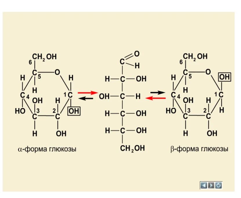 Дать понятие стехиометрическим рядам на примере глюкозы Препарат иммобилизованной глюкозоизомеразы Институт микробиологии НАН Беларуси