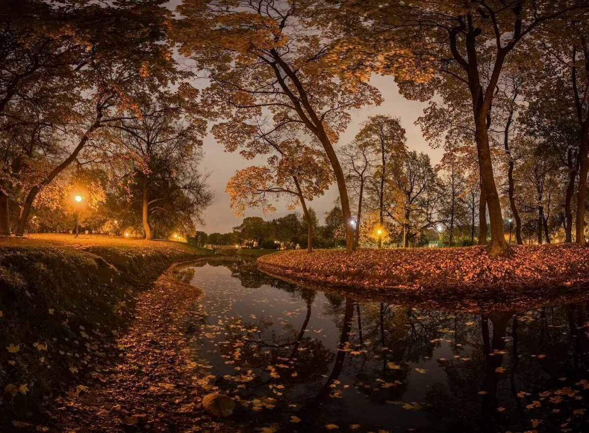 Просто осенний вечер. Осенний парк. Осенний вечер. Вечерний осенний парк. Осень вечер.