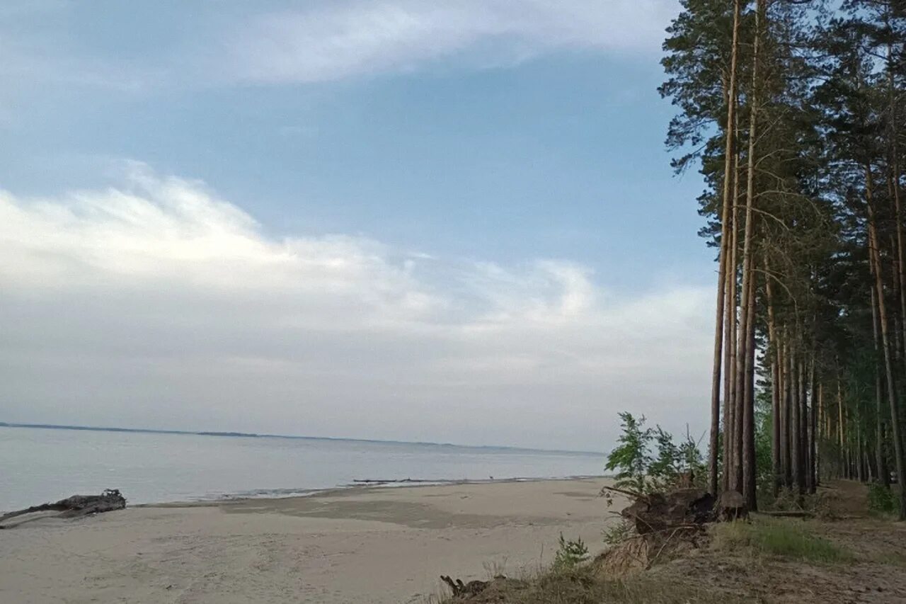 Караканский Бор Новосибирск. Природный парк "Караканский Бор". Обское водохранилище Караканский Бор. Караканский Бор пляж. Почему бор назвали бор