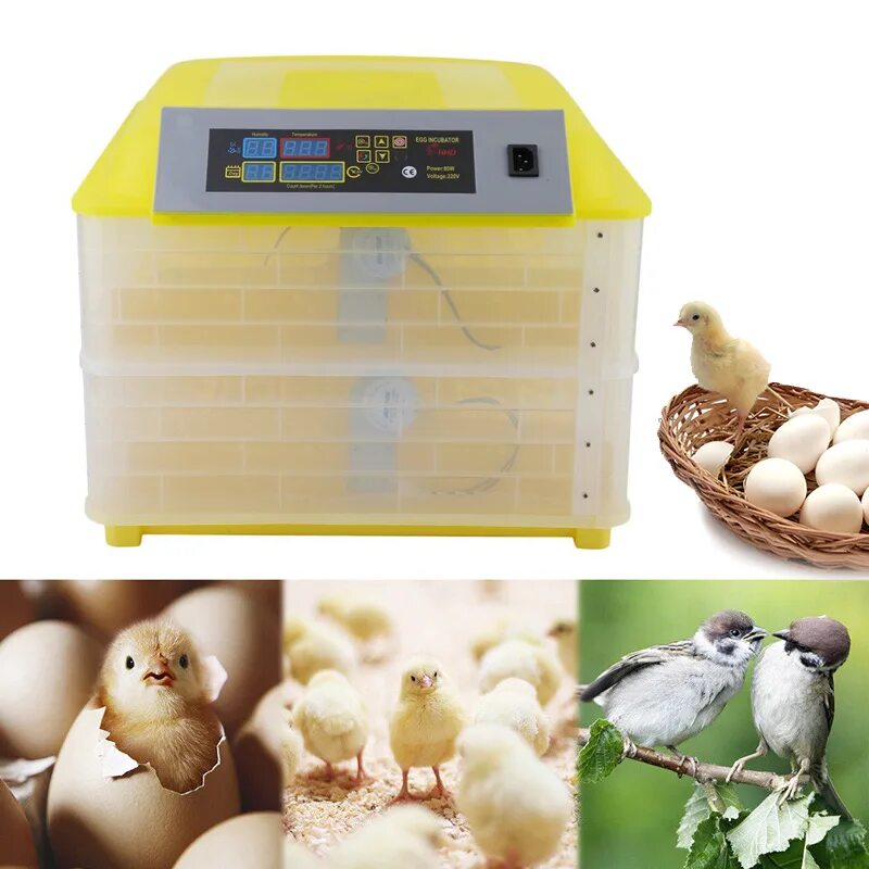 Инкубатор fully automatic egg incubator. Инкубатор для яиц автоматический. инкубатор пенопластовый. мини инкубатор домик. китайские инкубаторы для яиц.