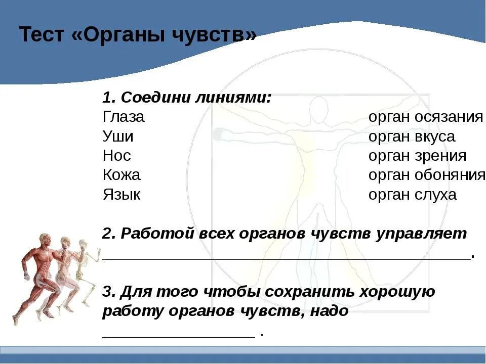 Тест органы чувств 9 класс. Задания на тему организм человека. Органы чувств задания. Строение человека задания. Строение тела человека задания.