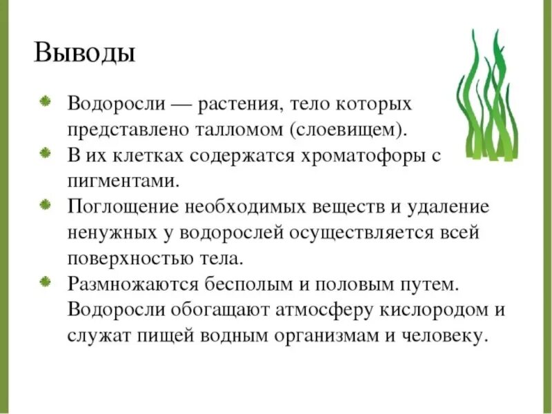 Значение растений водорослей. Водоросли биология. Вывод водоросли. Водоросли презентация. Водоросли 7 класс биология.