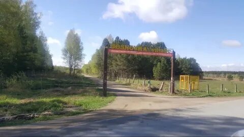 Дачный участок сосновка