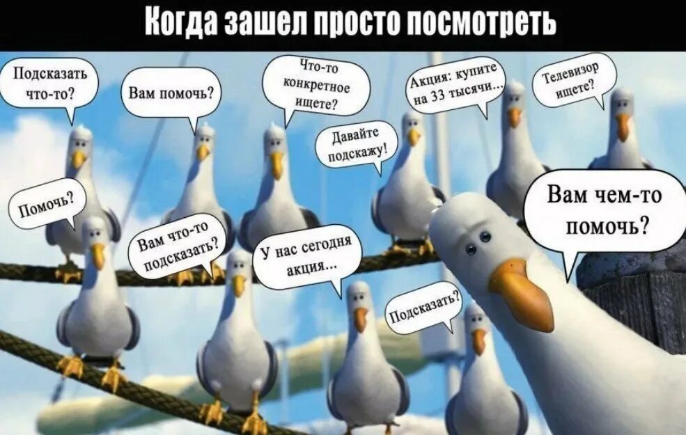 Ну начни что нибудь. Вам что то подсказать. Вам чем то помочь. Веселые картинки про продажи. Смешные картинки про продажи.