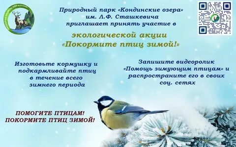 Акция покормите птиц зимой 2024
