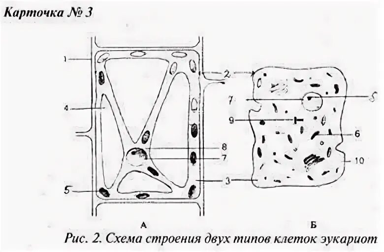 Рисунке 2 рисунок 2 структура