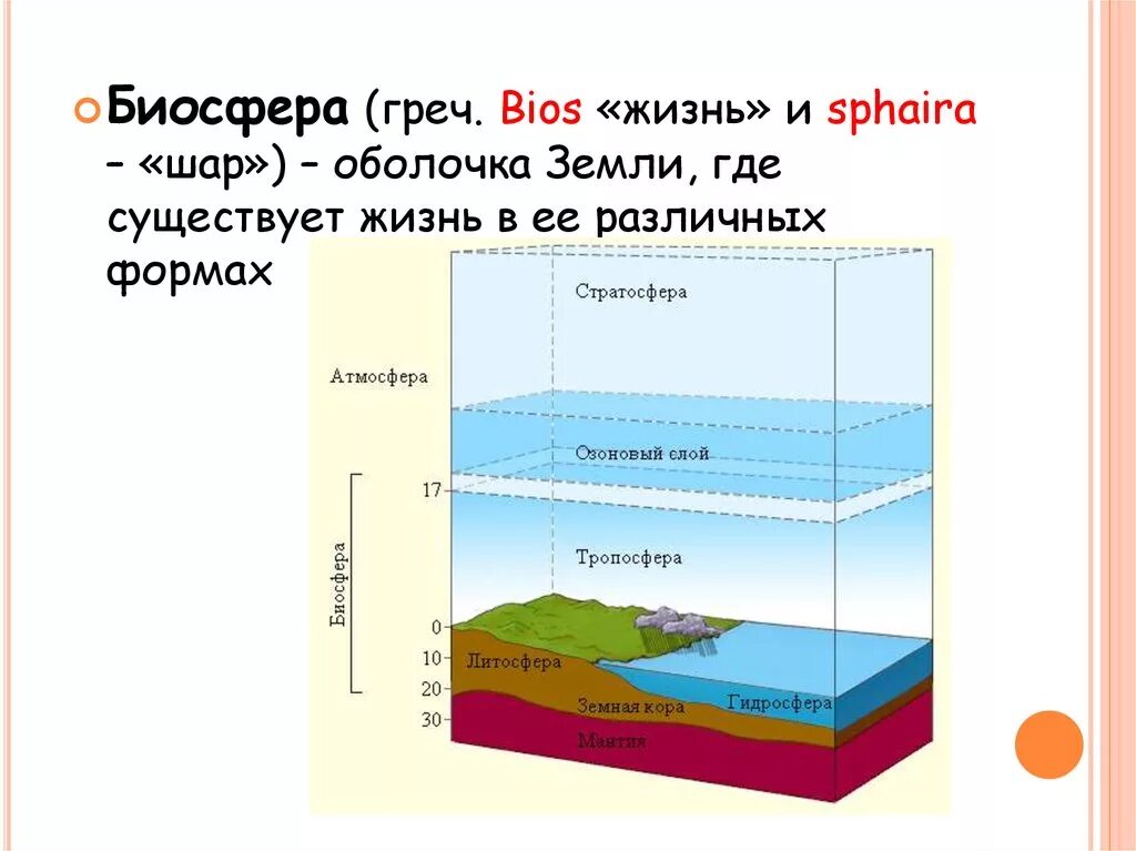 Биосфера оболочка земли где существует жизнь. Взаимодействие биосферы с оболочками земли. Схема связь биосферы с другими оболочками. Схема связьбиосферы с другимиоболчками земли. Схема биосферы с другими оболочками земли.