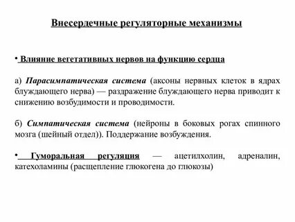 Какие системы выполняют регуляторную функцию