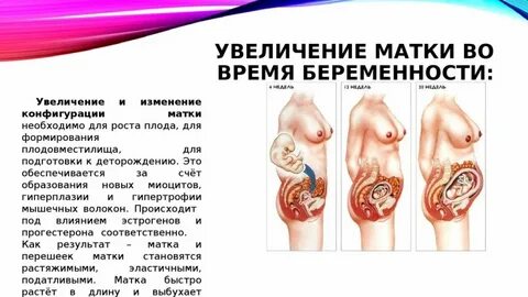 Как убрать живот после родов в домашних условиях, через сколько можно избавиться