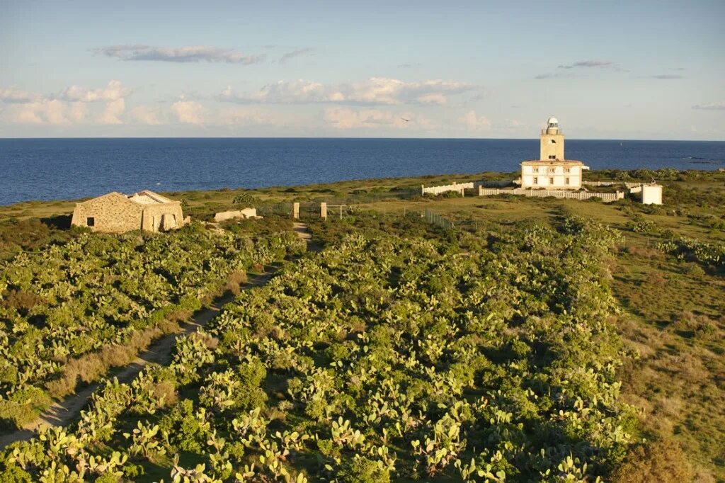 Табарка Испания. Табарка остров в Испании. Остров Табарка Аликанте. Isla plana Испания.