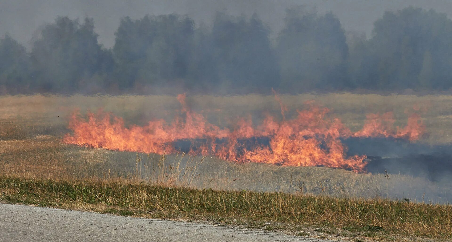 Степные и полевые пожары. Степные пожары. Степь в огне. Пожары степных и хлебных массивов. Полевые пожары.