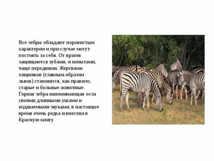 Как защищается от врагов
