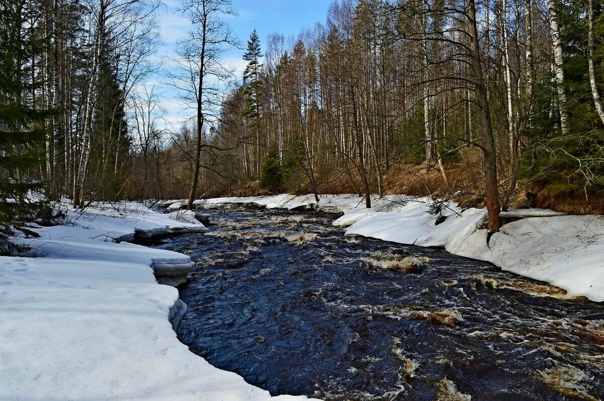 Талые воды весной. Рощино река Рощинка. Талые воды. Талые места.