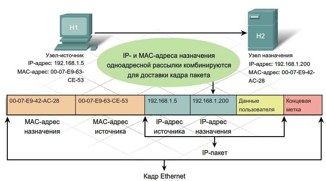 Адрес сетевого устройства. Протокол TCP схема. Структуры протоколов Ethernet и IP. Протокол TCP IP для чайников. Канальный уровень TCP/IP Ethernet.