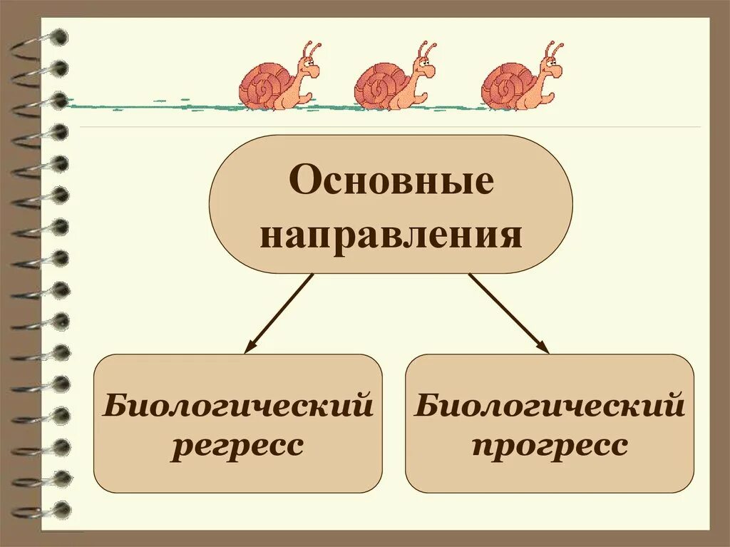 Главное направление биологической эволюции. Основные направления эволюции регресс. макроэволюция главные направления эволюции. биологический прогресс и биологический регресс. направление эволюции биологический прогресс биологический регресс.