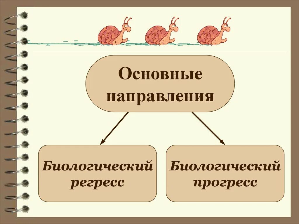 Биологический прогресс задания. Основные направления эволюции Прогресс и регресс. Макроэволюция главные направления эволюции. Биологический Прогресс и биологический регресс. Биологический Прогресс и регресс схема.