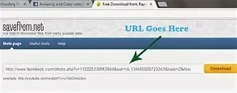 Go url