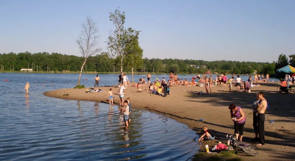 Петербург где можно купаться. Красное село пляж безымянного озера. Озеро Безымянное Красносельский район. Безымянное (озеро, Санкт-Петербург). Красное село Санкт-Петербург озеро Безымянное.