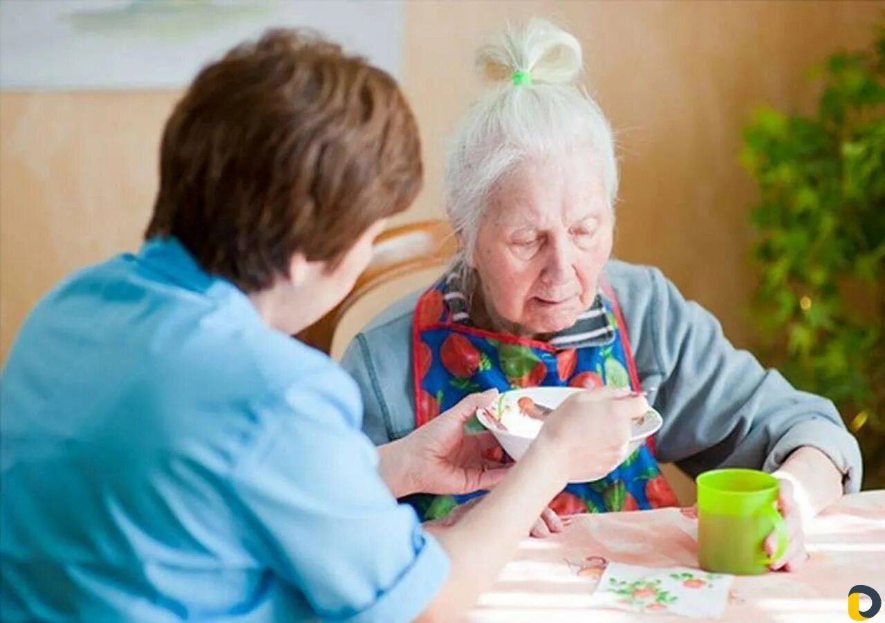 Детей передали бабушке. Социальные услуги для пожилых людей. Сиделка с бабушкой. Социальное обслуживание пожилых людей. Помощь пожилым.