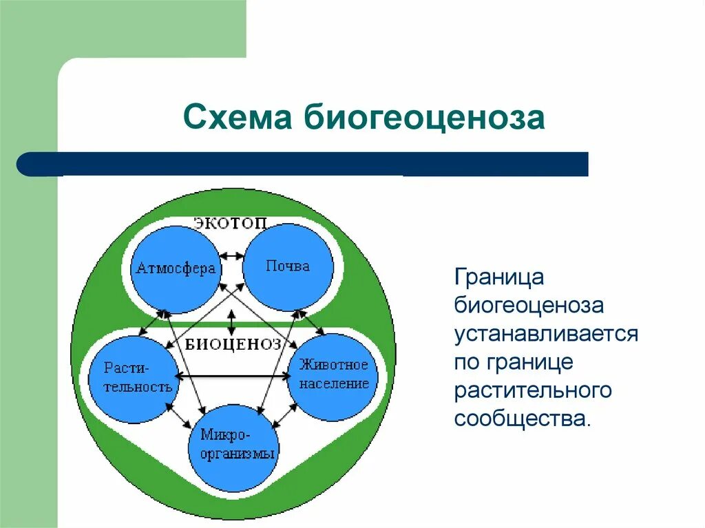 Выберите три признака характерных для биогеоценоза. Схема биогеоценоза (по в.н. Сукачеву, 1972). Схема биогеоценоза. Схеме структуры биогеоценоза (экосистемы):. Схема строения биогеоценоза.