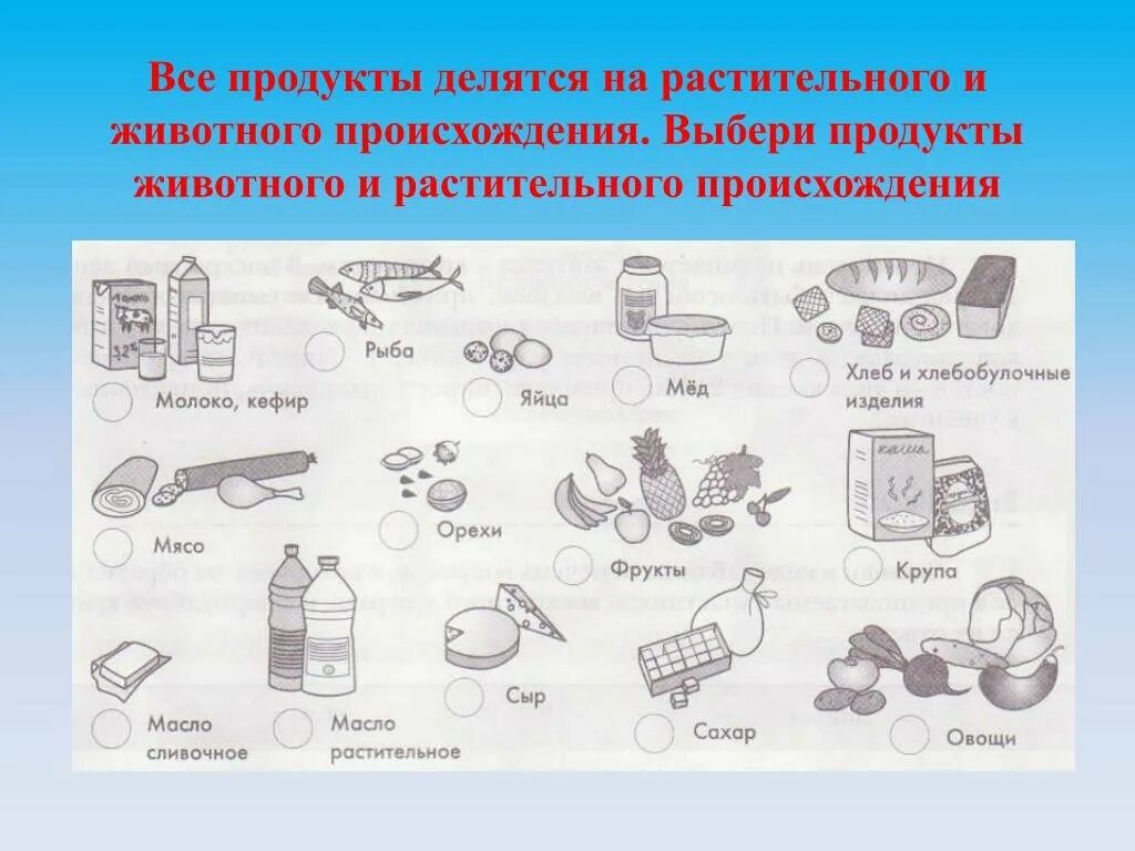 Продукты растительного происхождения 2 класс окружающий. Продукты растительного и животного происхождения. Карточки продукты растительного и животного происхождения. Продукты растительного и животного происхождения задания. Растительная и животная пища.