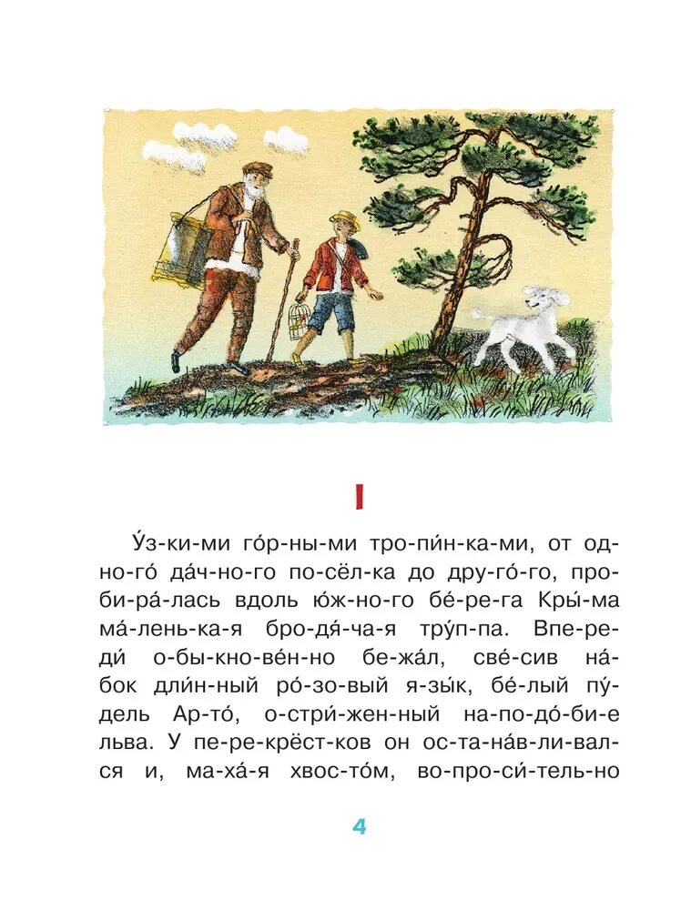 Краткое содержание белый пудель куприн 5 класс. Белый пудель ( куприн а. ). книга белый пудель (куприн а.). рассказ куприна белый пудель краткое содержание. пересказ белый пудель.