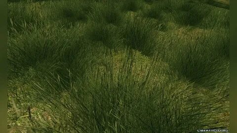 Plant series