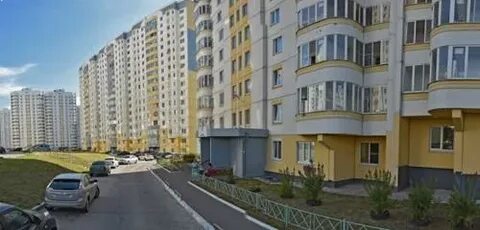Чижик курск