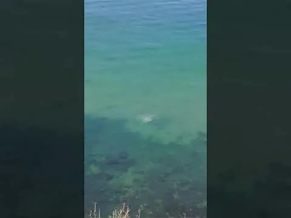 Вода в черном море в мае. Вода в черном море в мае