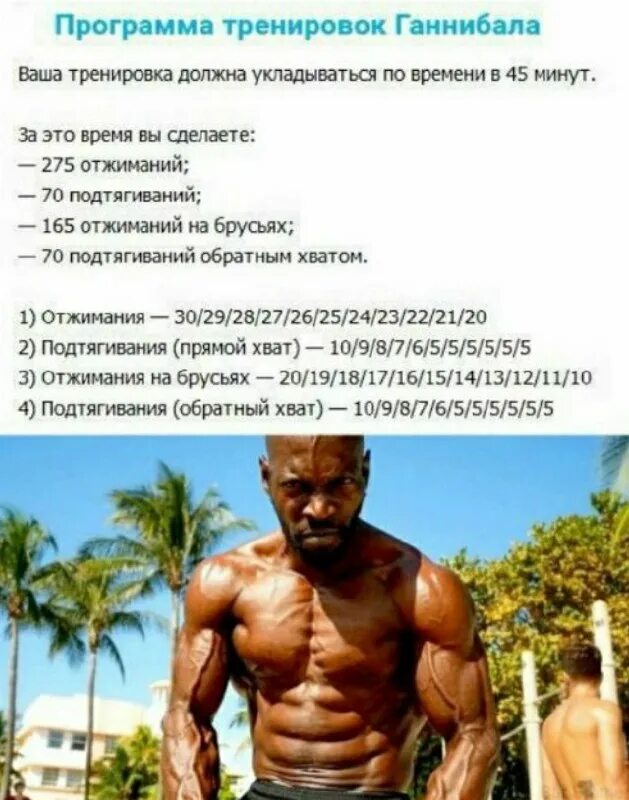Программа тренировок ганнибала. Программа тренировок ганнибала