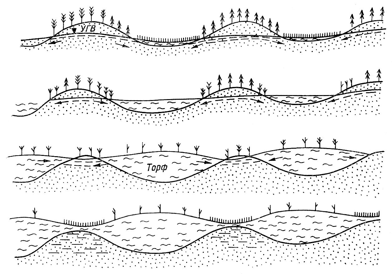 Стадии формирования болота. Гидрологический режим болот. Гидрологические болота. Гидрология болот схема.