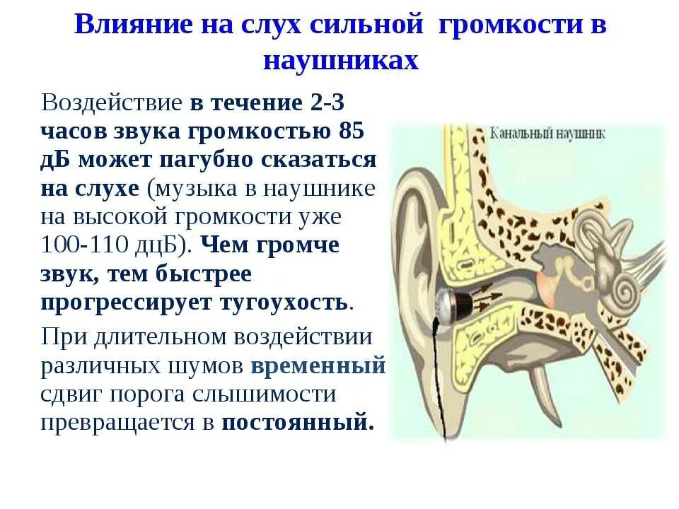 Воздействие шума на слух человека. Влияние звука на слух. Влияние звука на слух человека. Влияние шума на слуховой анализатор. Режущее слух сочетание звуков синоним