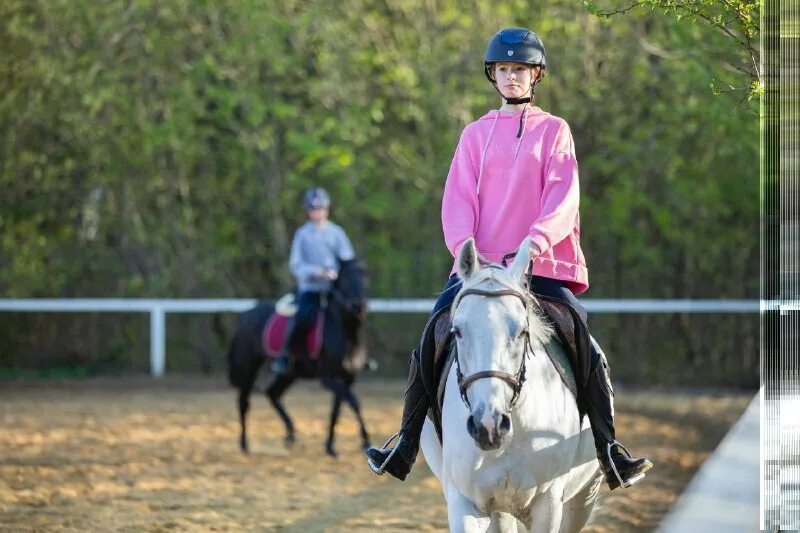 Конно-спортивный клуб прованс, москва. Конный клуб прованс. Конно-спортивный клуб прованс. Конный клуб прованс новоясеневская. Кск прованс тренеры.