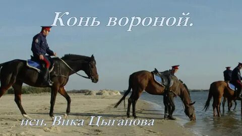 Конь твой вороной любимый песня