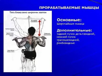 Анатомия физических упражнений