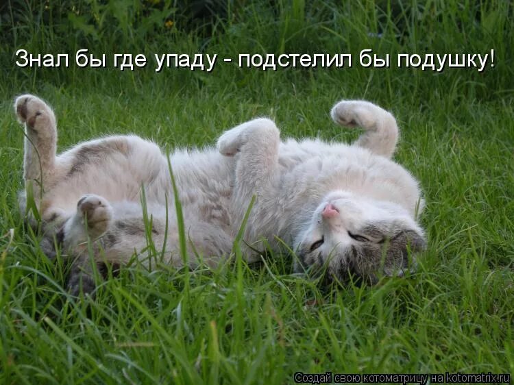 Пословица кабы знал где упасть так соломки бы. Знать бы где соломку подстелить. Знал бы где упасть соломки бы подстелил. Где упасть соломку подстелил. Пословица знал бы где упасть соломки бы подстелил.