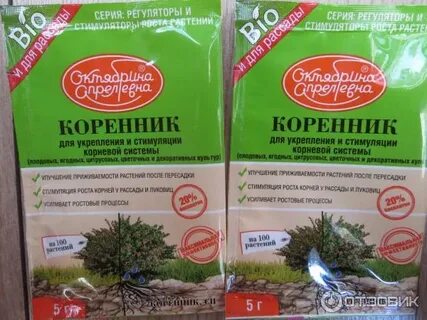 Коренник для укрепления и стимуляции