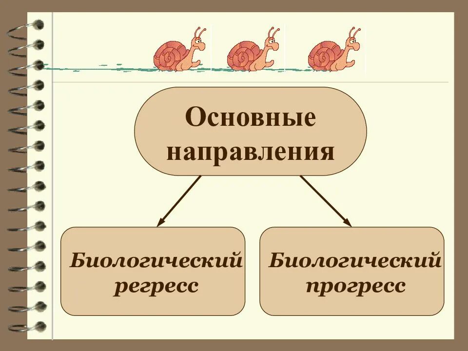 Основные направления эволюции Прогресс и регресс. Макроэволюция главные направления эволюции. Биологический Прогресс и биологический регресс. Биологический Прогресс и регресс схема. Определите по рисунку направления эволюции обоснуйте свой